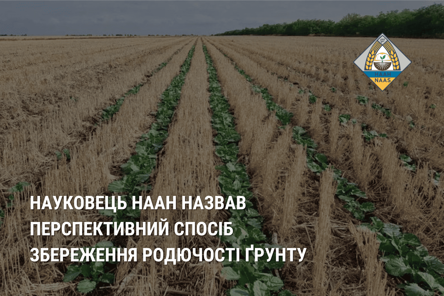 Науковець НААН назвав перспективний спосіб збереження родючості ґрунту Науковець НААН назвав перспективний спосіб збереження родючості ґрунту